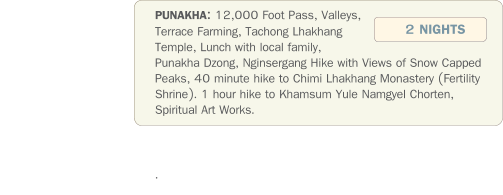 PUNAKHA: 12,000 Foot Pass, Valleys, Terrace Farming, Tachong Lhakhang Temple, Lunch with local family, Punakha Dzong, Nginsergang Hike with Views of Snow Capped Peaks, 40 minute hike to Chimi Lhakhang Monastery (Fertility Shrine). 1 hour hike to Khamsum Yule Namgyel Chorten, Spiritual Art Works.                 .   2 NIGHTS