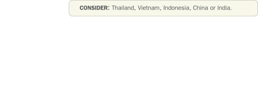 CONSIDER: Thailand, Vietnam, Indonesia, China or India.